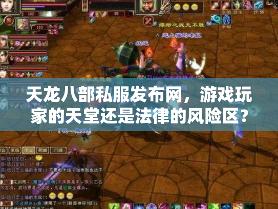 天龙八部私服发布网，游戏玩家的天堂还是法律的风险区？