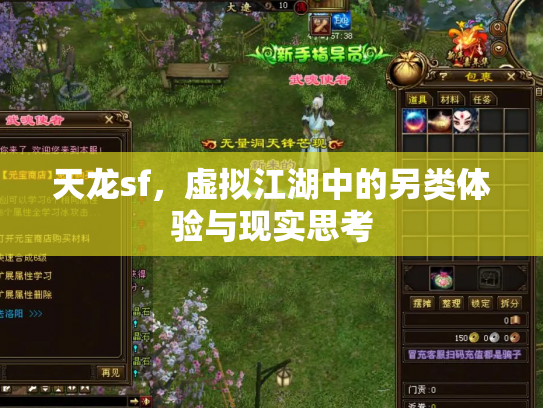 天龙sf，虚拟江湖中的另类体验与现实思考