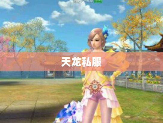 天龙私服