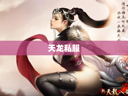 天龙私服