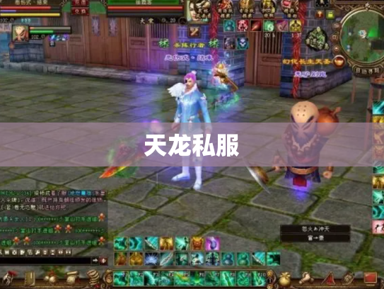 天龙私服