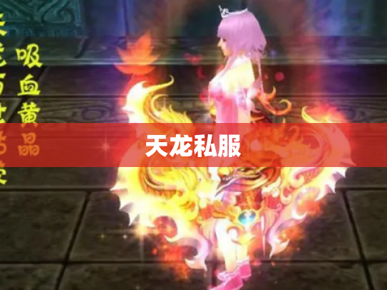 天龙私服
