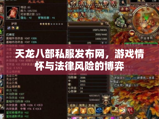 天龙八部私服发布网，游戏情怀与法律风险的博弈
