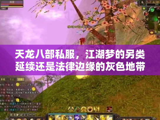 天龙八部私服，江湖梦的另类延续还是法律边缘的灰色地带？