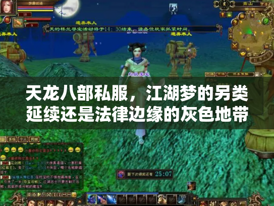天龙八部私服，江湖梦的另类延续还是法律边缘的灰色地带？