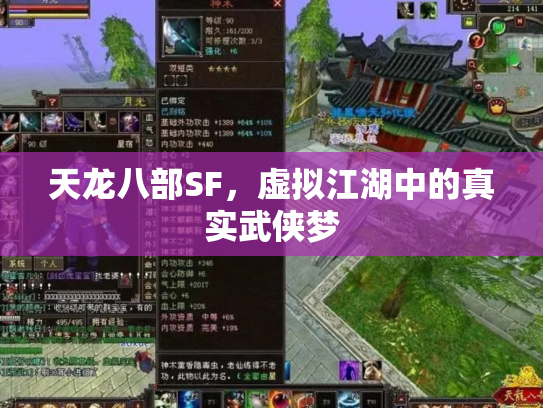 天龙八部SF，虚拟江湖中的真实武侠梦