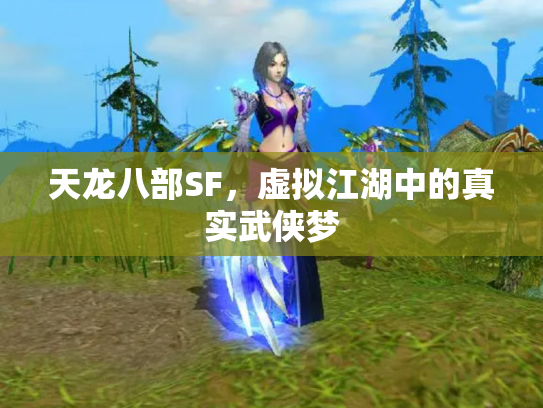 天龙八部SF，虚拟江湖中的真实武侠梦