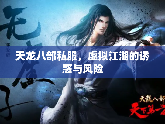 天龙八部私服，虚拟江湖的诱惑与风险