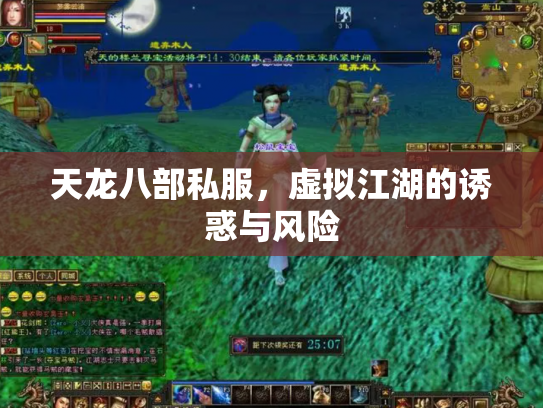 天龙八部私服，虚拟江湖的诱惑与风险