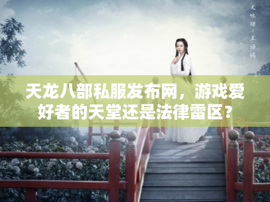 天龙八部私服发布网，游戏爱好者的天堂还是法律雷区？