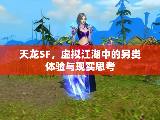 天龙SF，虚拟江湖中的另类体验与现实思考