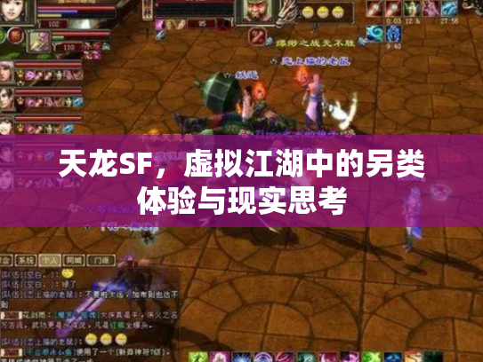 天龙SF，虚拟江湖中的另类体验与现实思考