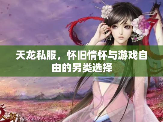 天龙私服，怀旧情怀与游戏自由的另类选择