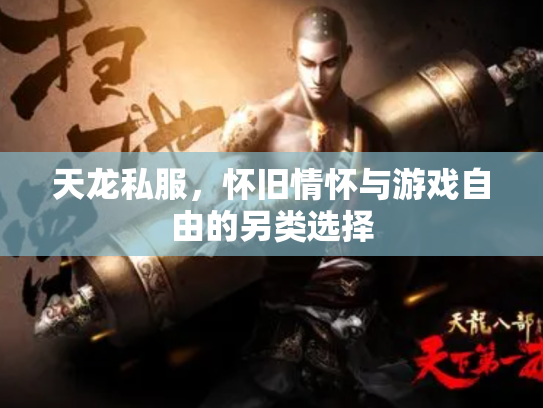 天龙私服，怀旧情怀与游戏自由的另类选择