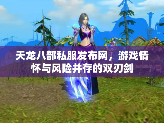 天龙八部私服发布网，游戏情怀与风险并存的双刃剑