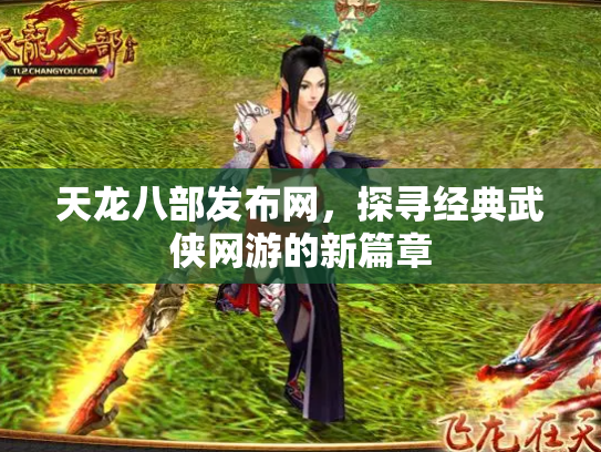 天龙八部发布网，探寻经典武侠网游的新篇章