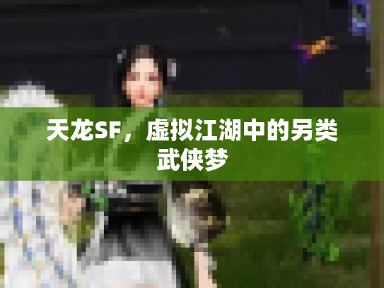 天龙SF，虚拟江湖中的另类武侠梦