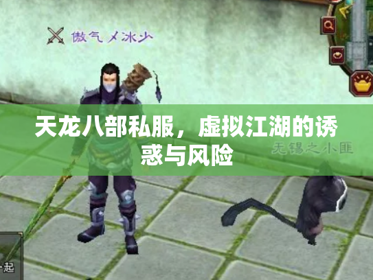 天龙八部私服，虚拟江湖的诱惑与风险