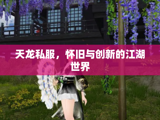 天龙私服，怀旧与创新的江湖世界