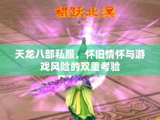 天龙八部私服，怀旧情怀与游戏风险的双重考验