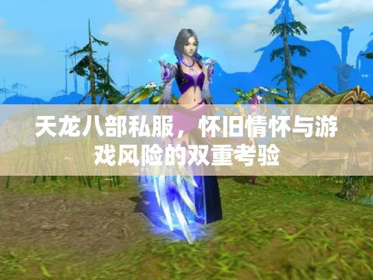 天龙八部私服，怀旧情怀与游戏风险的双重考验