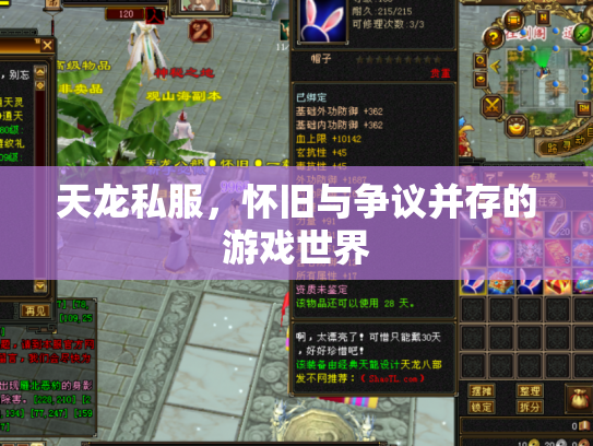 天龙私服，怀旧与争议并存的游戏世界