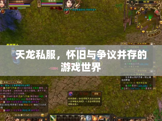 天龙私服，怀旧与争议并存的游戏世界