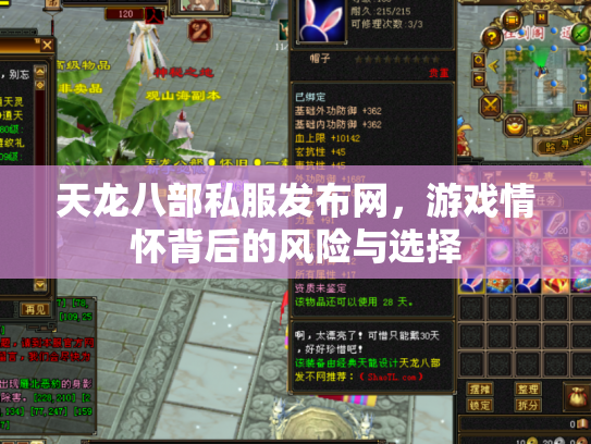 天龙八部私服发布网，游戏情怀背后的风险与选择