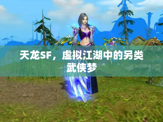 天龙SF，虚拟江湖中的另类武侠梦