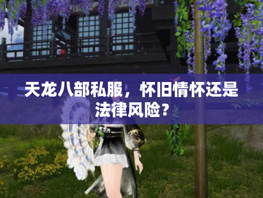 天龙八部私服，怀旧情怀还是法律风险？
