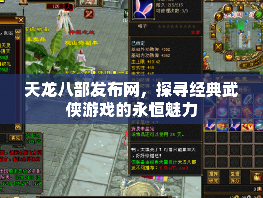 天龙八部发布网，探寻经典武侠游戏的永恒魅力