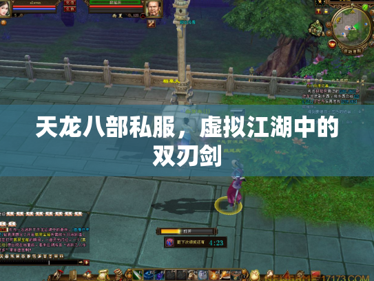 天龙八部私服，虚拟江湖中的双刃剑