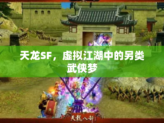 天龙SF，虚拟江湖中的另类武侠梦