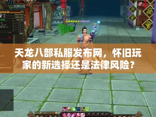 天龙八部私服发布网，怀旧玩家的新选择还是法律风险？