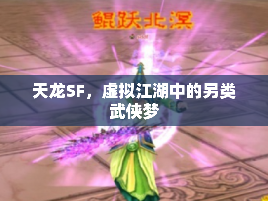 天龙SF，虚拟江湖中的另类武侠梦