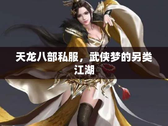 天龙八部私服，武侠梦的另类江湖