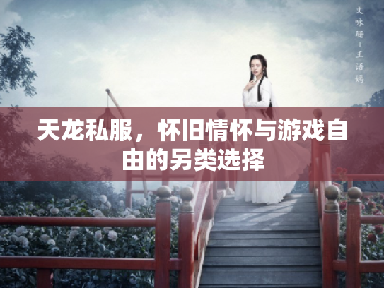 天龙私服，怀旧情怀与游戏自由的另类选择