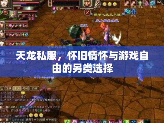 天龙私服，怀旧情怀与游戏自由的另类选择