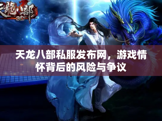 天龙八部私服发布网，游戏情怀背后的风险与争议