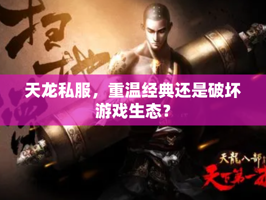 天龙私服，重温经典还是破坏游戏生态？