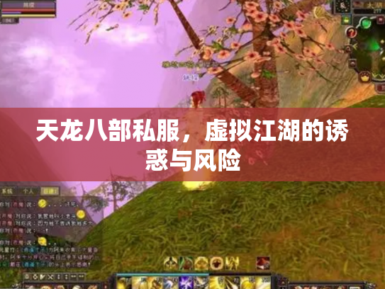 天龙八部私服，虚拟江湖的诱惑与风险