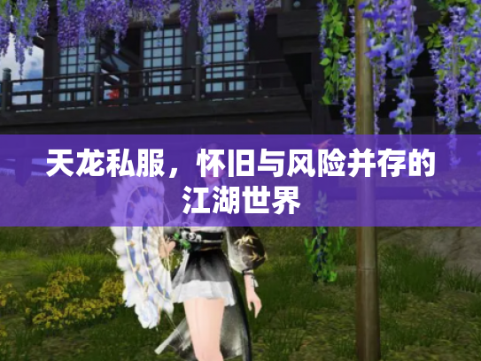 天龙私服，怀旧与风险并存的江湖世界