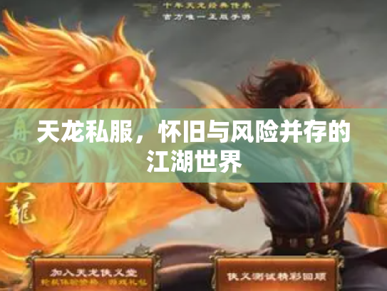 天龙私服，怀旧与风险并存的江湖世界