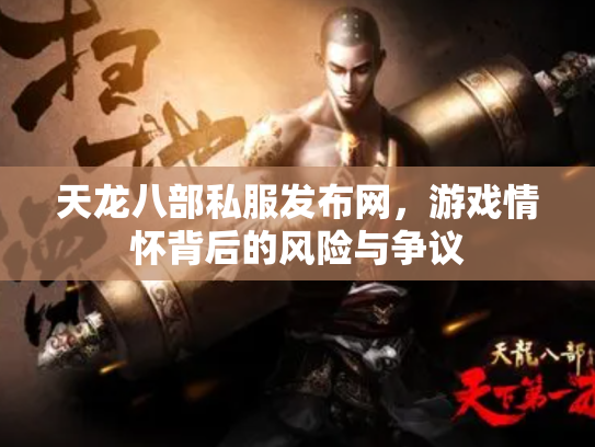 天龙八部私服发布网，游戏情怀背后的风险与争议