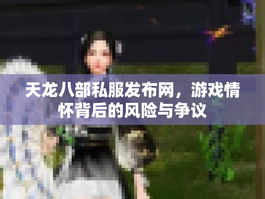 天龙八部私服发布网，游戏情怀背后的风险与争议