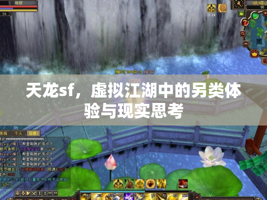 天龙sf，虚拟江湖中的另类体验与现实思考