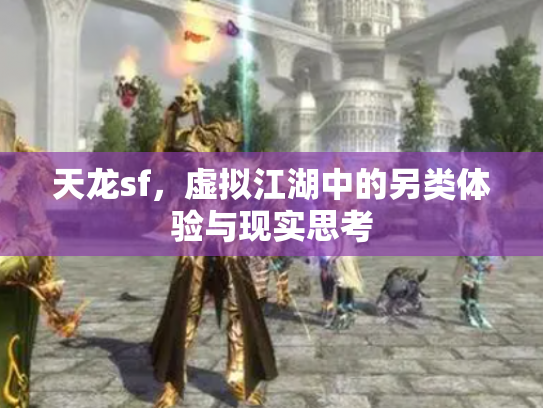 天龙sf，虚拟江湖中的另类体验与现实思考