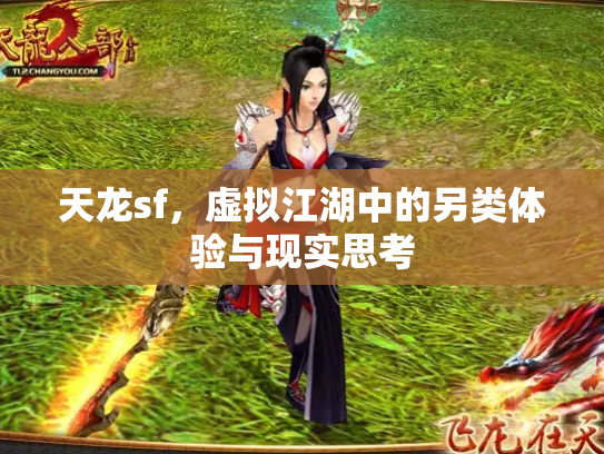 天龙sf，虚拟江湖中的另类体验与现实思考