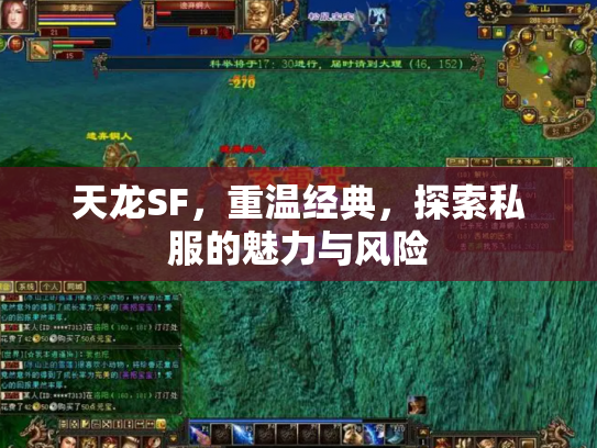 天龙SF，重温经典，探索私服的魅力与风险