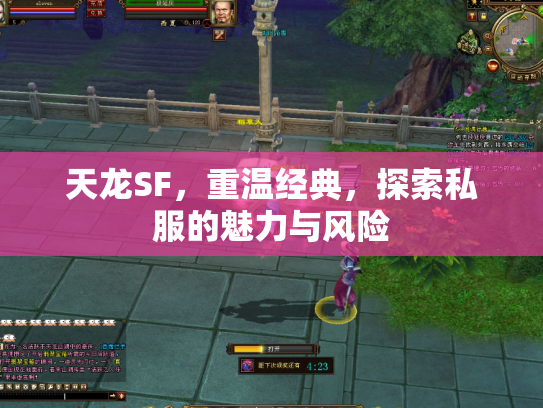 天龙SF，重温经典，探索私服的魅力与风险
